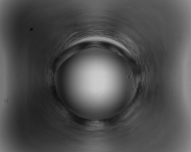 X0000092230421200709211029