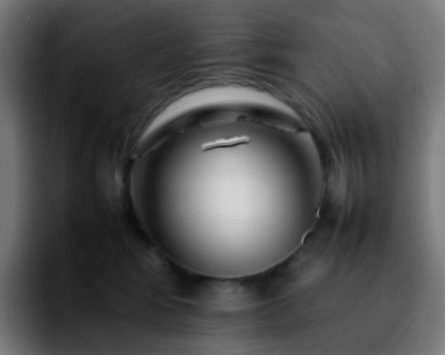 X0000092230424200709211029