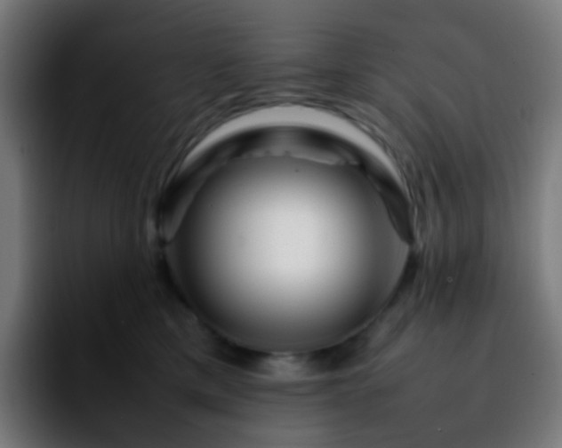 X0000092230425200709211029