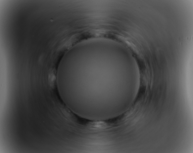 X0000092230427200709211029