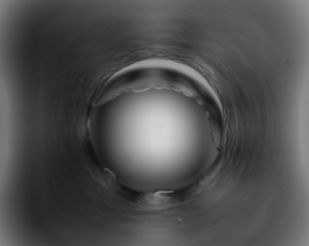 X0000092230429200709211029