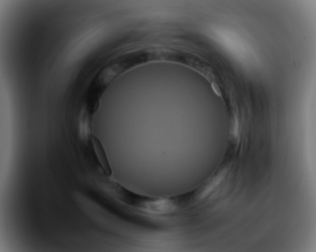 X0000092230431200709211029