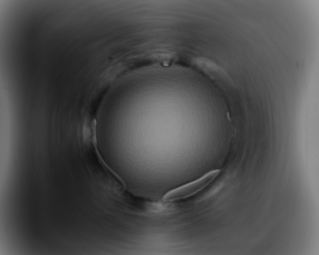 X0000092230432200709211029