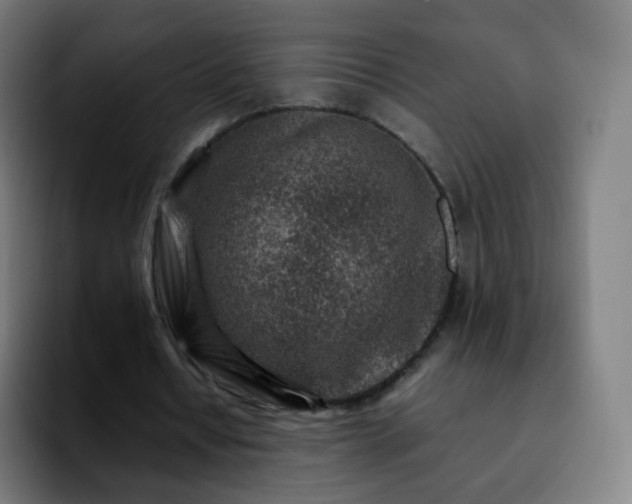X0000092230434200709211028