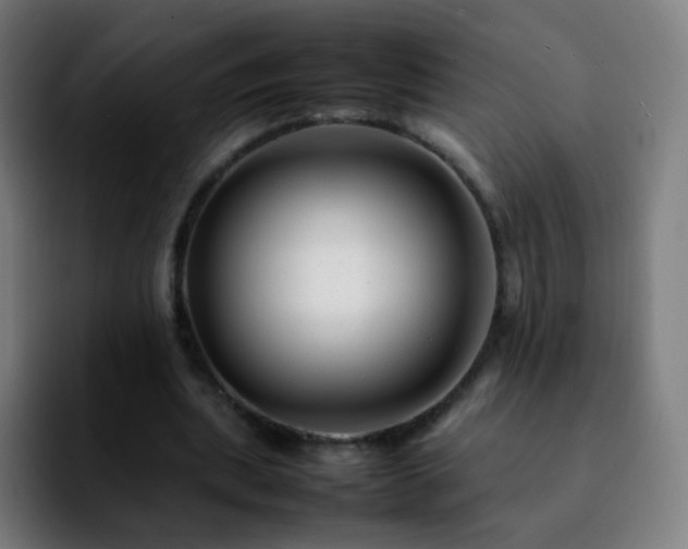 X0000092230439200709211028