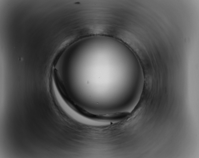 X0000092230442200709211028