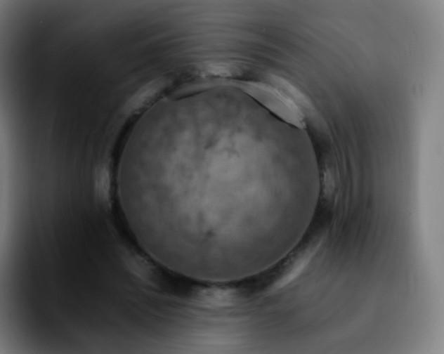 X0000092230444200709211028