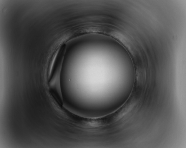 X0000092230445200709211028