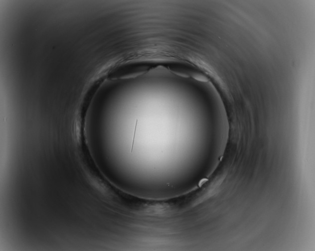 X0000092230446200709211028