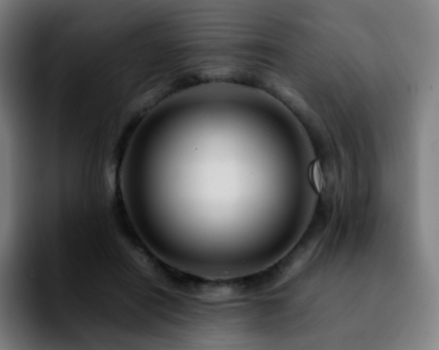 X0000092230454200709211028