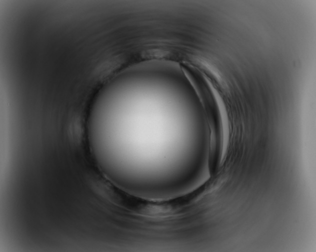 X0000092230455200709211028