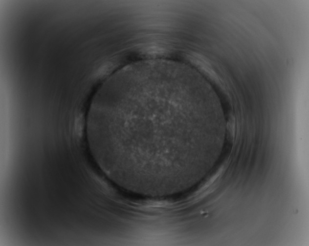 X0000092230458200709211028