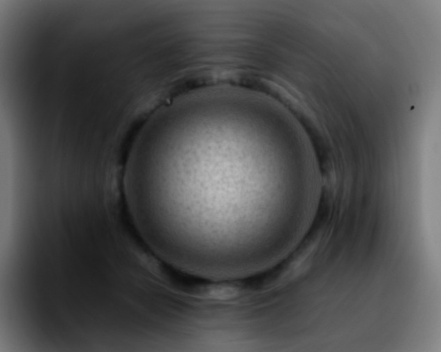 X0000092230462200709211028