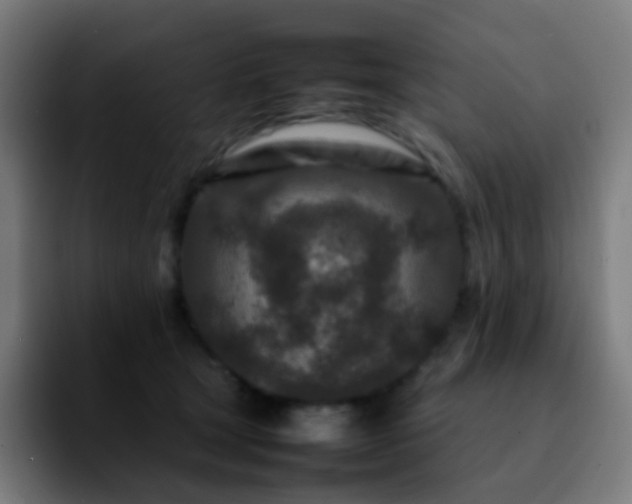 X0000092230465200709211029