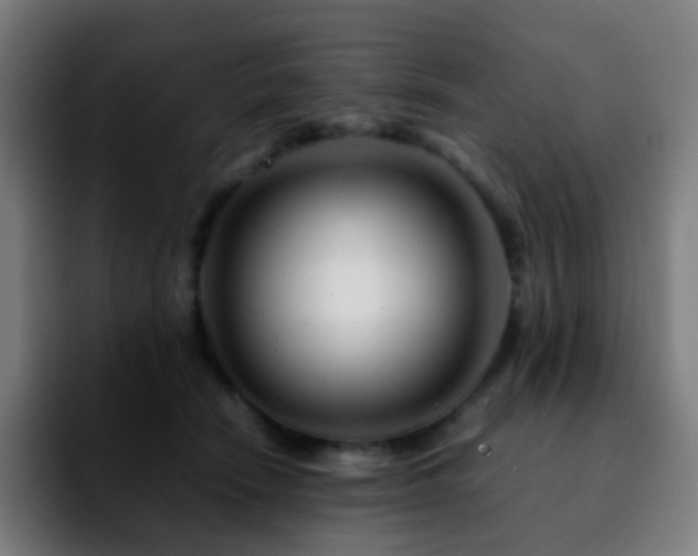 X0000092230466200709211029