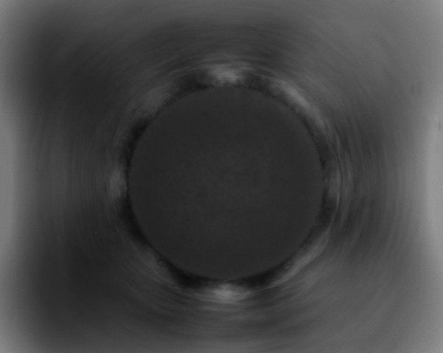 X0000092230467200709211029
