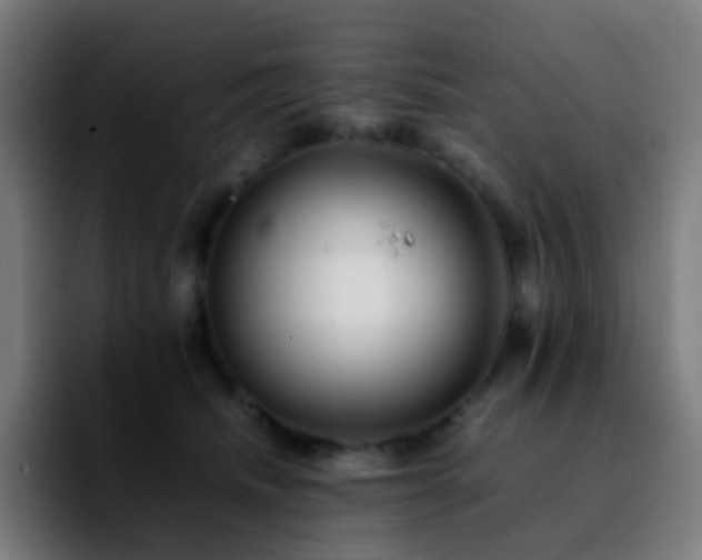 X0000092230468200709211029