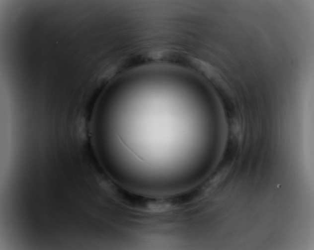 X0000092230470200709211029
