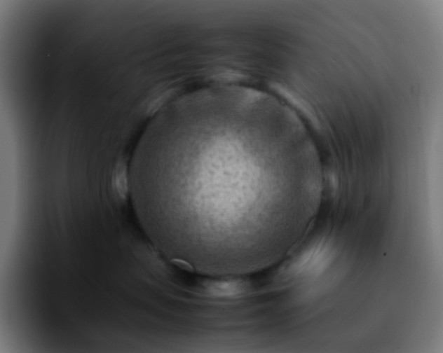 X0000092230479200709211029