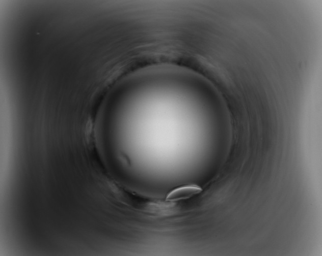 X0000092230480200709211029