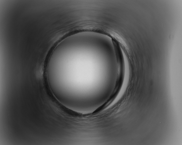 X0000092230483200709211028