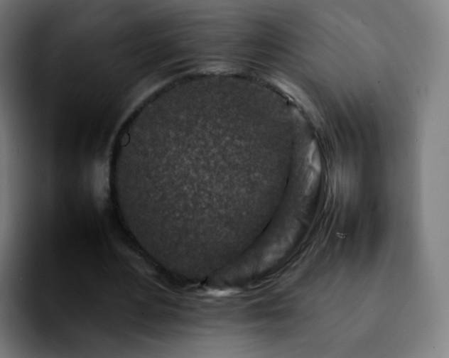 X0000092230484200709211028