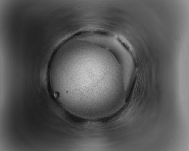 X0000092230487200709211028