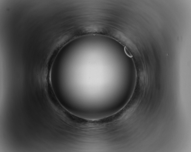 X0000092230490200709211028