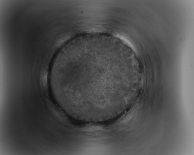 X0000092230491200709211028
