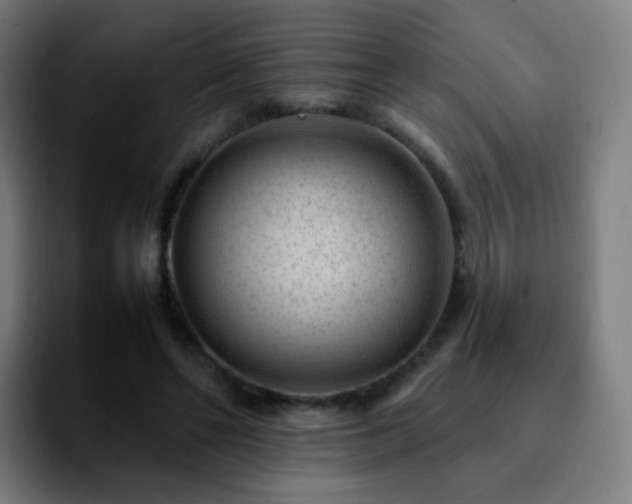 X0000092230494200709211028