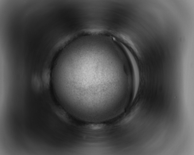 X0000092230495200709211028