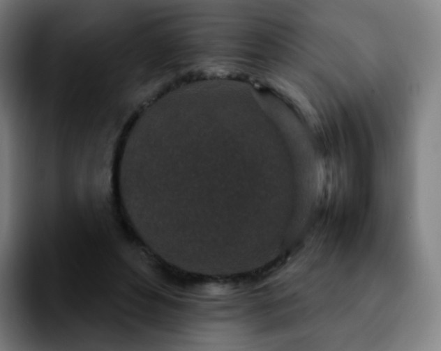 X0000092230496200709211028