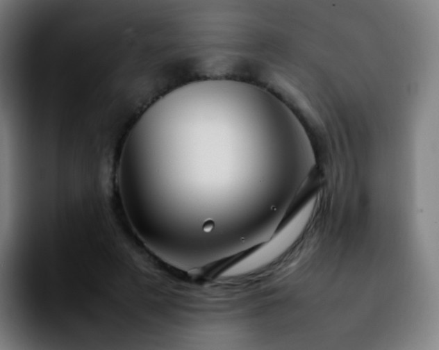 X0000092230497200709211028