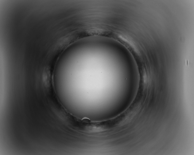 X0000092230498200709211028