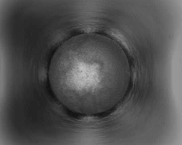 X0000092230499200709211028