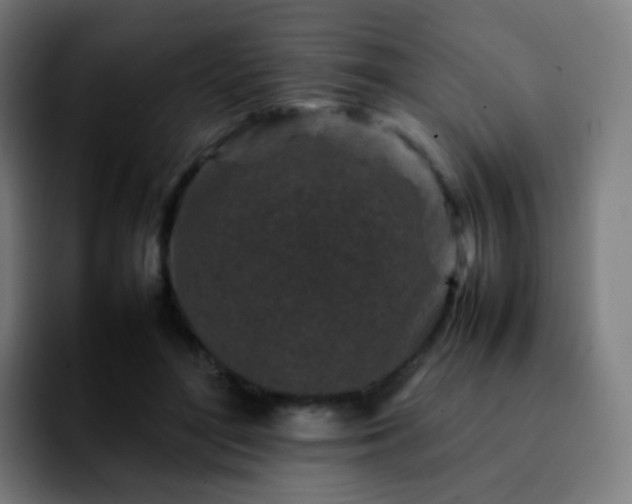 X0000092230500200709211028