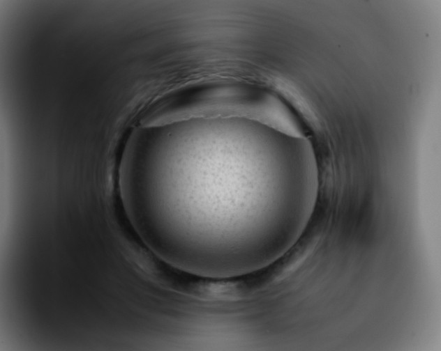 X0000092230501200709211028