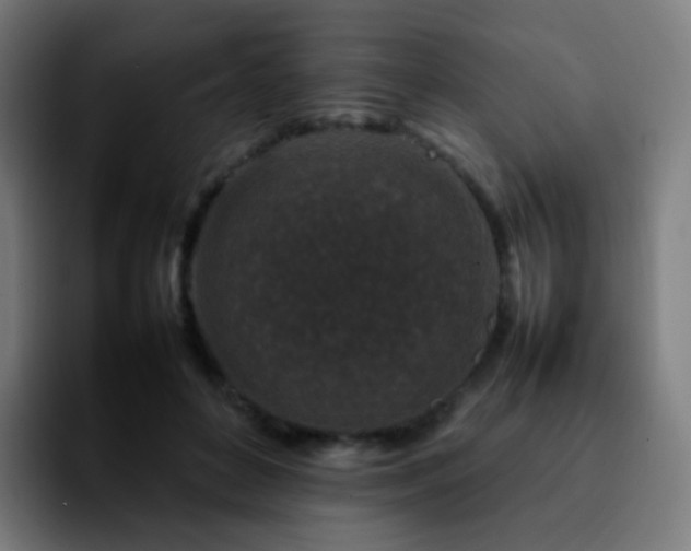 X0000092230504200709211028