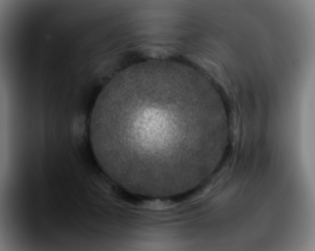 X0000092230511200709211028