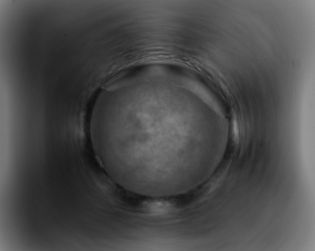 X0000092230512200709211028