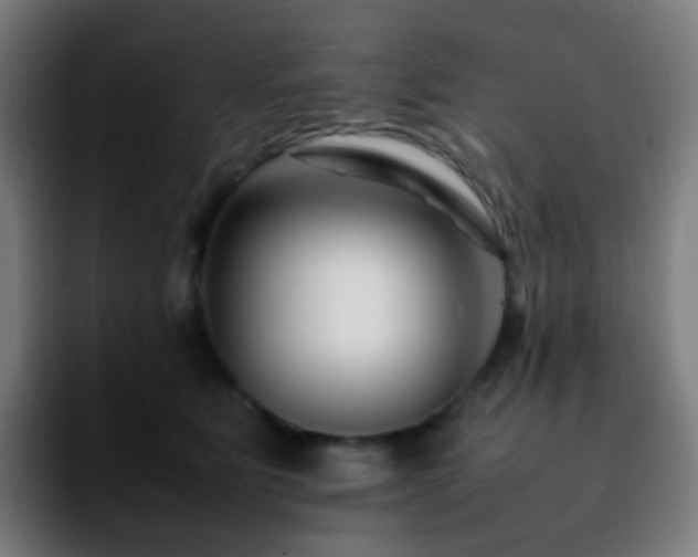 X0000092230515200709211028