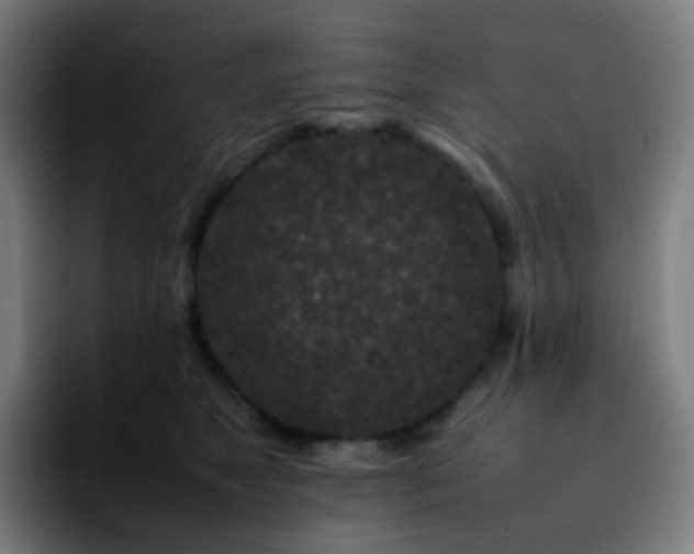 X0000092230517200709211028