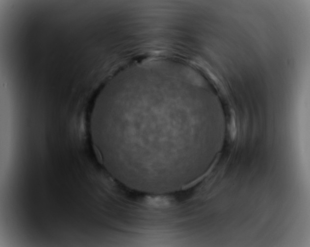 X0000092230520200709211028