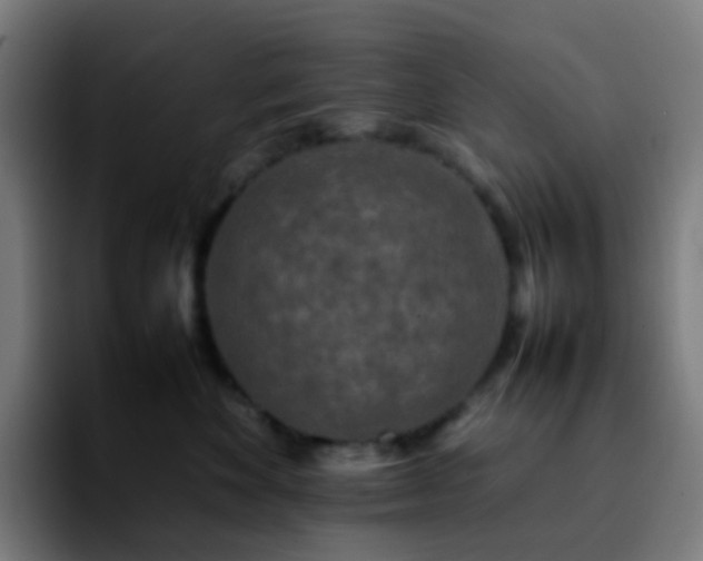 X0000092230524200709211028