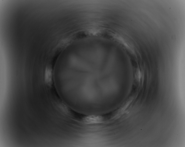 X0000092230526200709211028