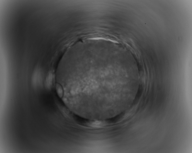 X0000092230527200709211028