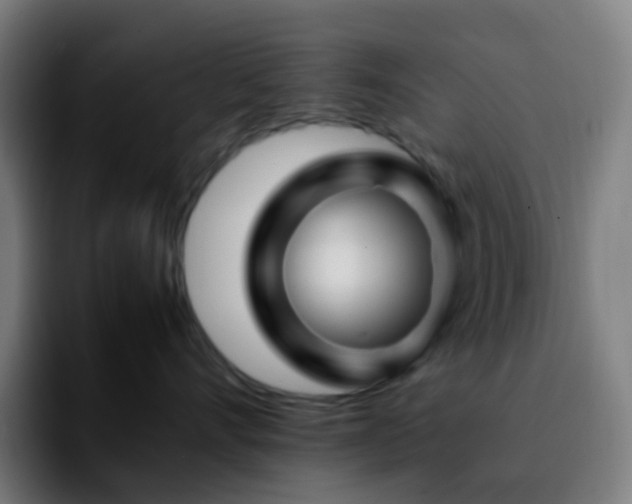 X0000092230528200709211028