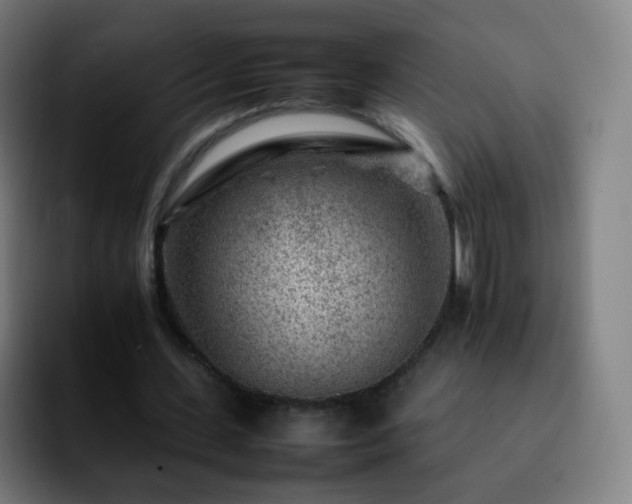X0000092230531200709211027