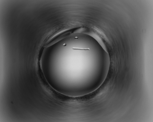 X0000092230538200709211027