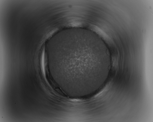 X0000092230542200709211027